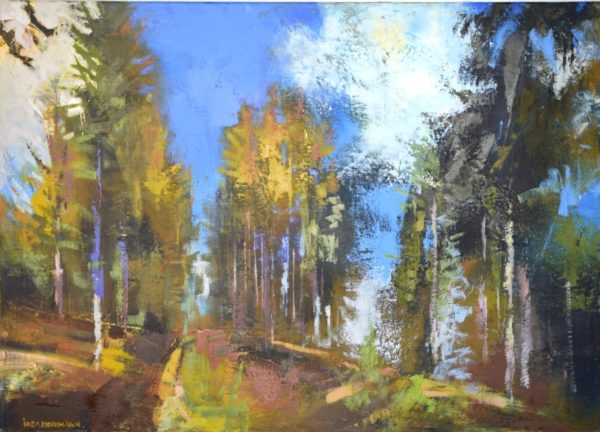 Autumn in Black Forest